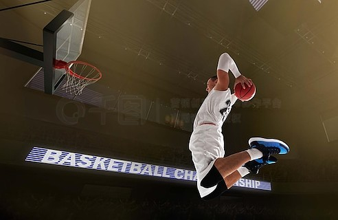 Basketball Style Shoes
