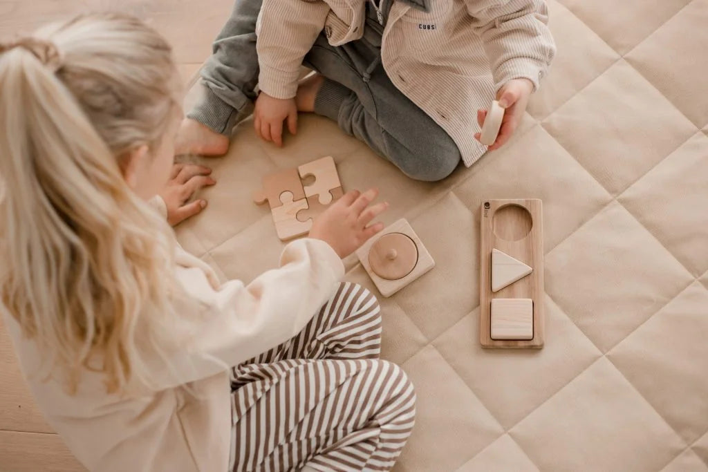 Promotional Toys